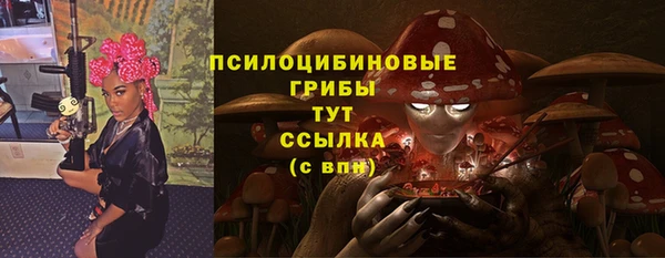 меф Арсеньев