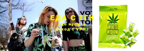 шишки Аркадак